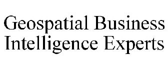 GEOSPATIAL BUSINESS INTELLIGENCE EXPERTS