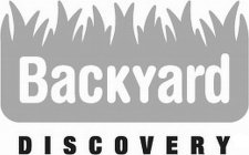 BACKYARD DISCOVERY
