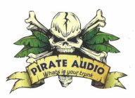 PIRATE AUDIO WHATS IN YOUR TRUNK
