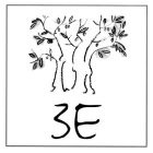 3E