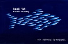SMALL FISH BUSINESS COACHING FROM SMALL THINGS, BIG THINGS GROW.