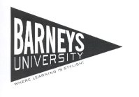 BARNEYS UNIVERSITY WHERE LEARNING IS STYLISH!