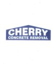 CHERRY CONCRETE REMOVAL