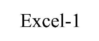 EXCEL-1