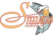 STEELHEAD BREWING CO.