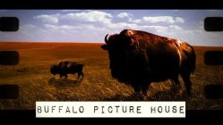 BUFFALO PICTURE HOUSE