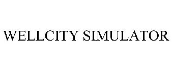 WELLCITY SIMULATOR