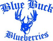 BLUE BUCK BLUEBERRIES