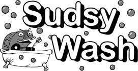 SUDSY WASH