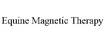 EQUINE MAGNETIC THERAPY