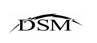 DSM