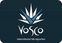 V VOSCO INTERNATIONAL TEK IMPORTERS