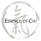 ESSENCE OF CHI
