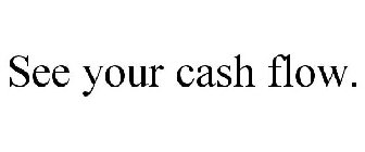 SEE YOUR CASH FLOW.