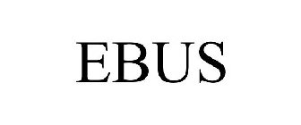 EBUS