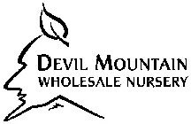 DEVIL MOUNTAIN WHOLESALE NURSERY
