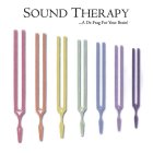 SOUND THERAPY...A DE-FRAG FOR YOUR BRAIN!