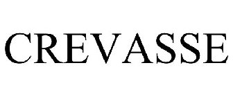CREVASSE