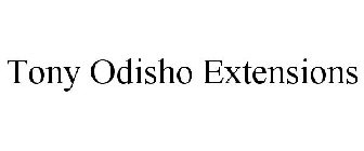 TONY ODISHO EXTENSIONS