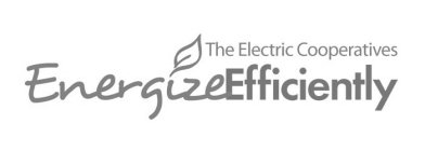 THE ELECTRIC COOPERATIVES ENERGIZEEFFICIENTLY