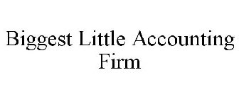 BIGGEST LITTLE ACCOUNTING FIRM