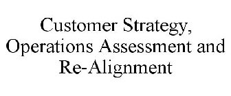 CUSTOMER STRATEGY, OPERATIONS ASSESSMENT AND RE-ALIGNMENT