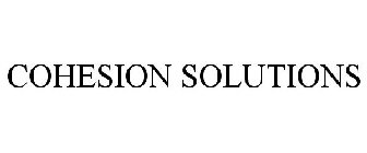 COHESION SOLUTIONS