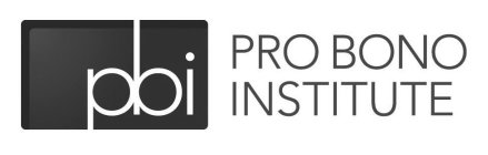 PBI PRO BONO INSTITUTE