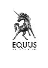 EQUUS AUTOMOTIVE