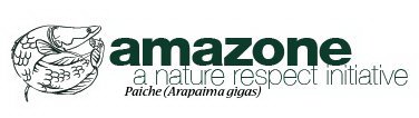 AMAZONE A NATURE RESPECT INITIATIVE PAICHE (ARAPAIMA GIGAS)