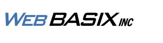 WEB BASIX INC