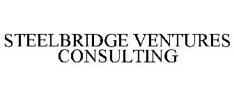 STEELBRIDGE VENTURES CONSULTING