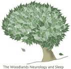 THE WOODLANDS NEUROLOGY AND SLEEP