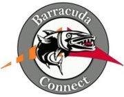 BARRACUDA CONNECT