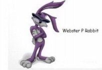 WEBSTER P RABBIT