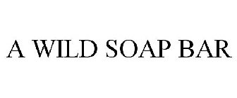 A WILD SOAP BAR