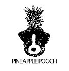 PINEAPPLE POOCH