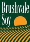 BRUSHVALE SOY