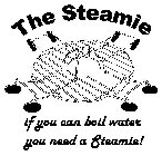 THE STEAMIE IF YOU CAN BOIL WATER YOU NEED A STEAMIE!