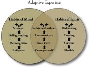 ADAPTIVE EXPERTISE HABITS OF MIND STRATEGIC SELF-GOVERNING METACOGNITIVE REFLECTIVE HABITS OF SPIRIT RISK-TAKING CREATING CURIOUS FLEXIBLE RELATE WITH OTHERS COMMUNICATE SEEK TRUTH KNOW YOURSELF