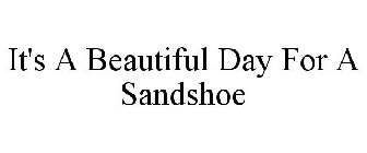 IT'S A BEAUTIFUL DAY FOR A SANDSHOE