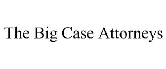 THE BIG CASE ATTORNEYS