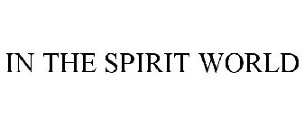 IN THE SPIRIT WORLD