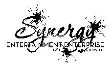 SYNERGY ENTERTAINMENT ENTERPRISE ...EXPERIENCE IT FOR YOURSELF!