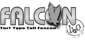 FALCON TURF TYPE TALL FESCUE H2O