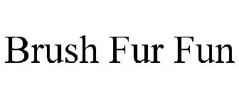 BRUSH FUR FUN