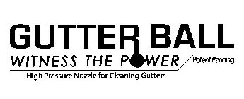 GUTTER BALL WITNESS THE POWER HIGH PRESSURE NOZZLE FOR CLEANING GUTTERS