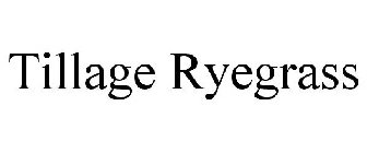 TILLAGE RYEGRASS