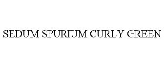 SEDUM SPURIUM CURLY GREEN