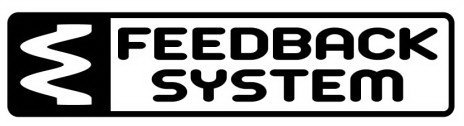 FEEDBACK SYSTEM